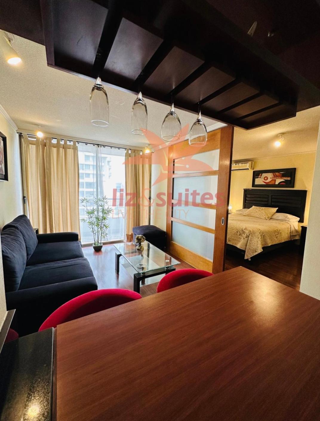 Moderno Y Acogedor Sector Privilegiado Providencia Apartment