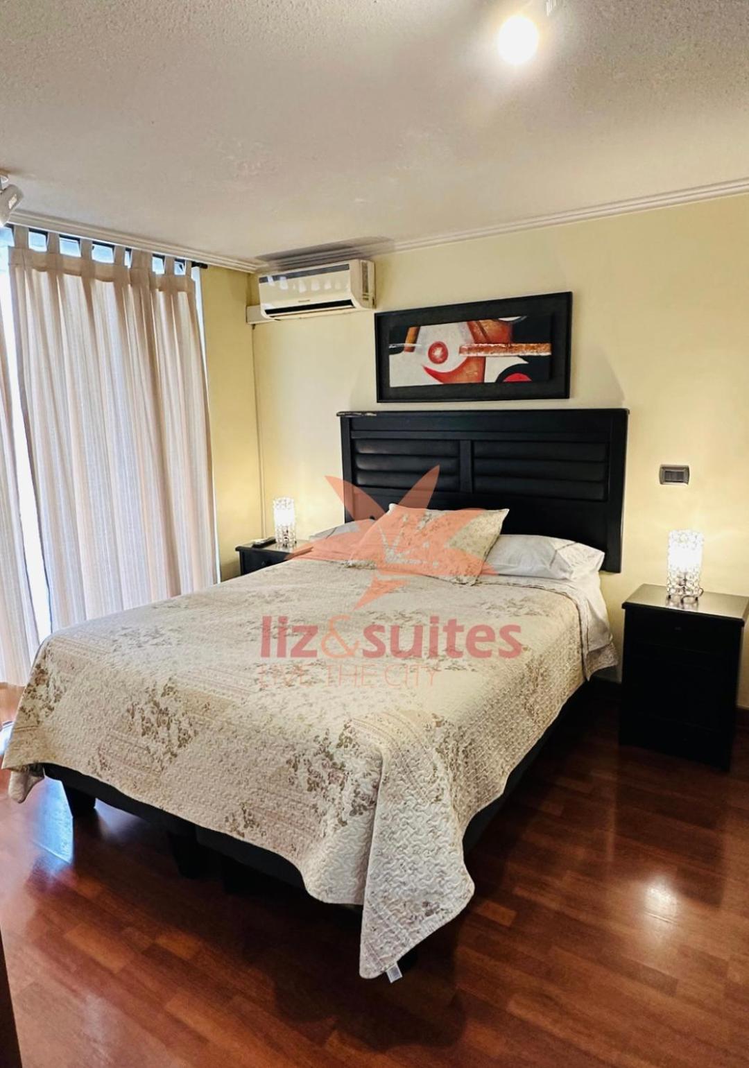Moderno Y Acogedor Sector Privilegiado Providencia Apartment Santiago